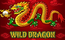 Ойын автоматы Wild Dragon