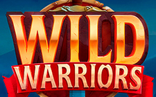 Ойын автоматы Wild Warrior